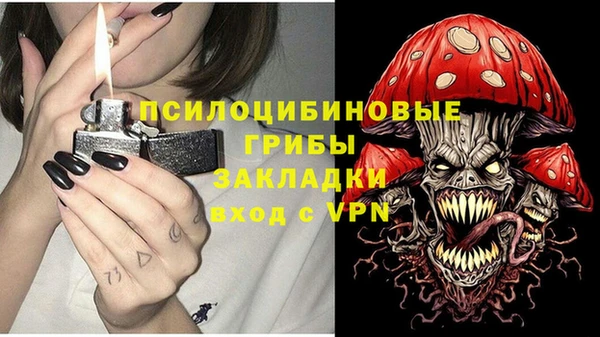 гидропоника Аша